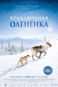 Приключения олененка