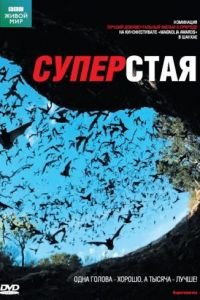 BBC: Суперстая